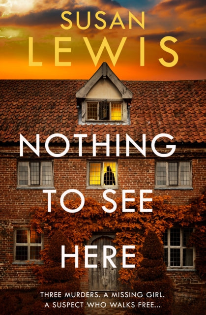 Nothing to See Here by Susan Lewis - Paperback