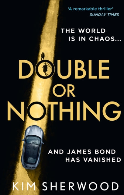 Double or Nothing by Kim Sherwood - Paperback book