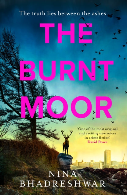 The Burnt Moor by Nina Bhadreshwar - Hardcover book