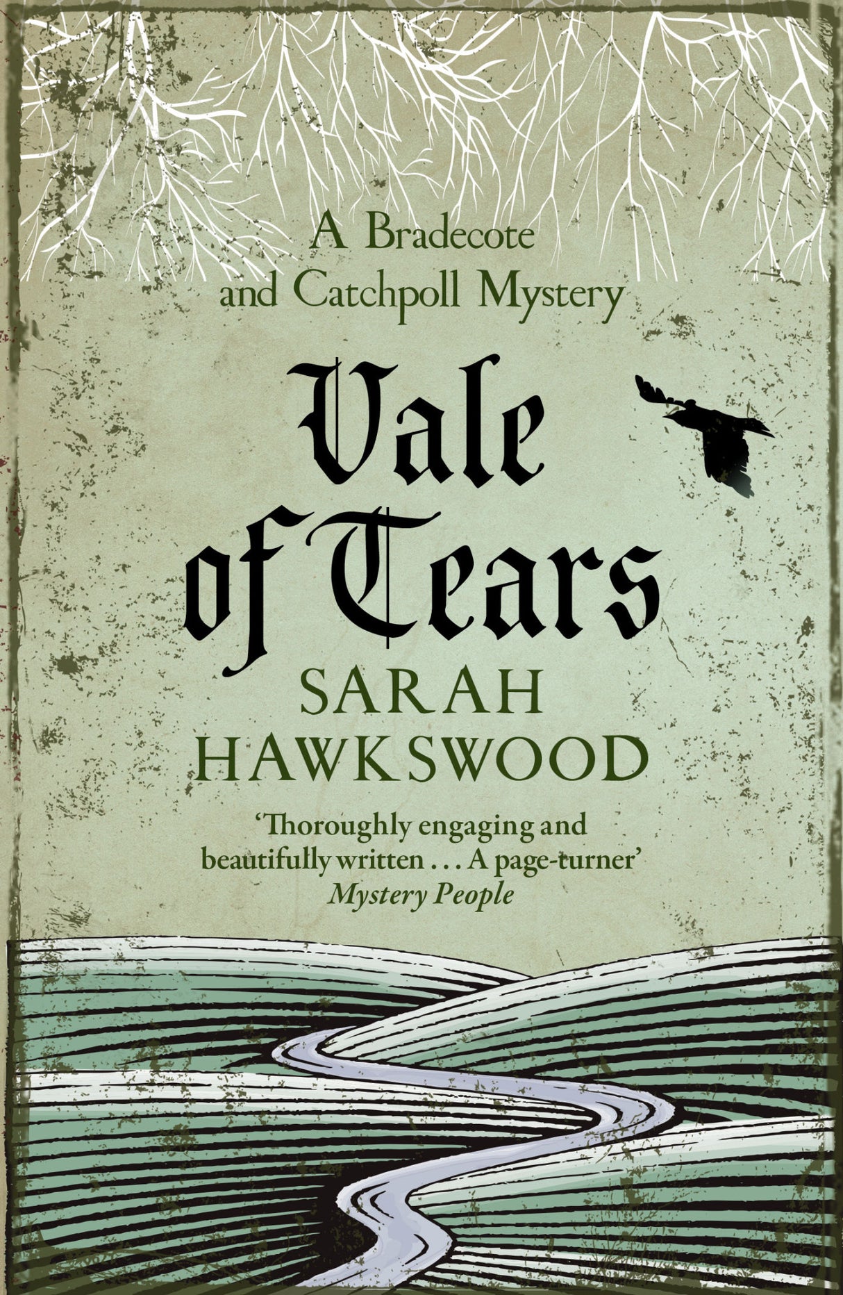 Vale of Tears by Sarah Hawkswood - Paperback book