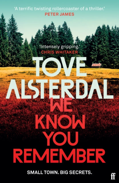 We Know You Remember by Tove Alsterdal - Paperback book