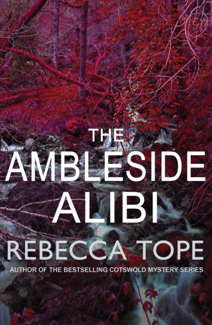 The Ambelside Alibi by Rebecca Tope - Paperback