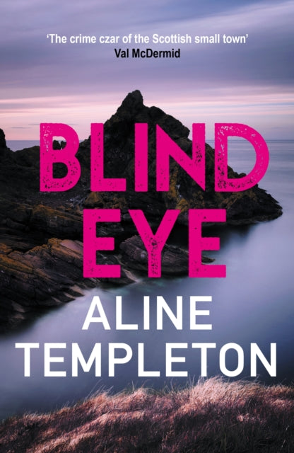 Blind Eye by Aline Templeton - Paperback book
