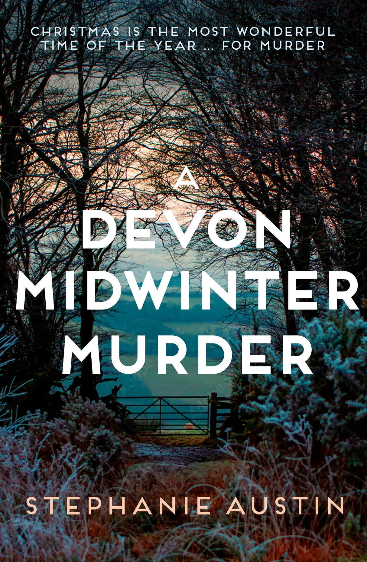 A Devon Midwinter Murder by Stephanie Austin - Paperback book