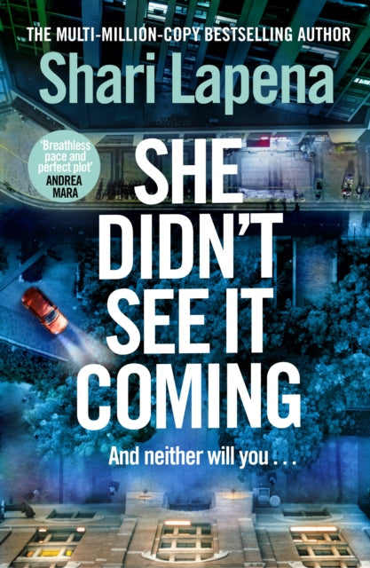 She Didn't See It Coming by Shari Lapena - Hardcover