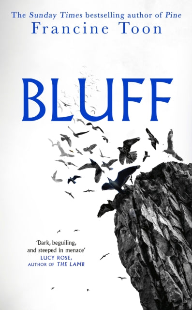 Book cover of 'Bluff' by Francine Toon with birds flying over a cliff.