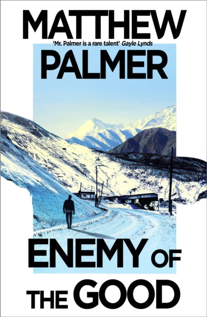 Book cover of Enemy of the Good by Matthew Palmer (Paperback)