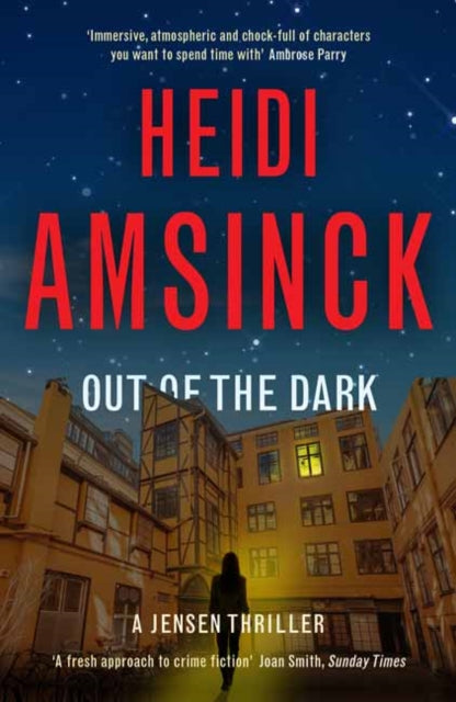 Out of the Dark by Heidi Amsinck - Paperback book