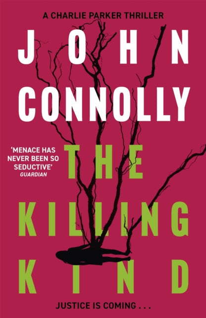 The Killing Kind by John Connolly - Paperback