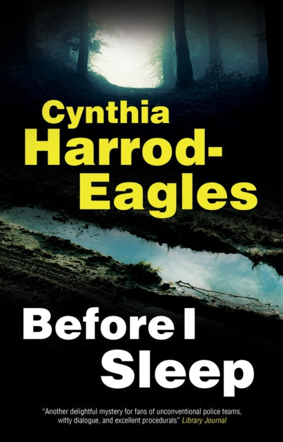 Before I Sleep by Cynthia Harrod-Eagles - Paperback