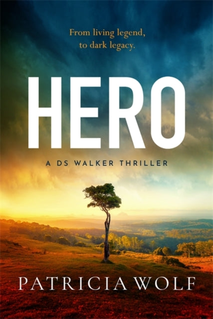 book cover of Hero by Patricia Wolf (Paperback)