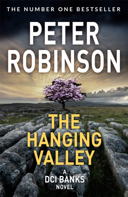 The Hanging Valley by Peter Robinson - Paperback