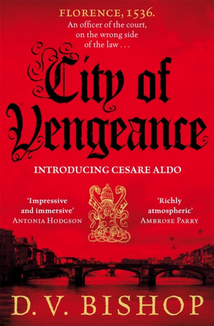 City of Vengeance by D V Bishop - Paperback book