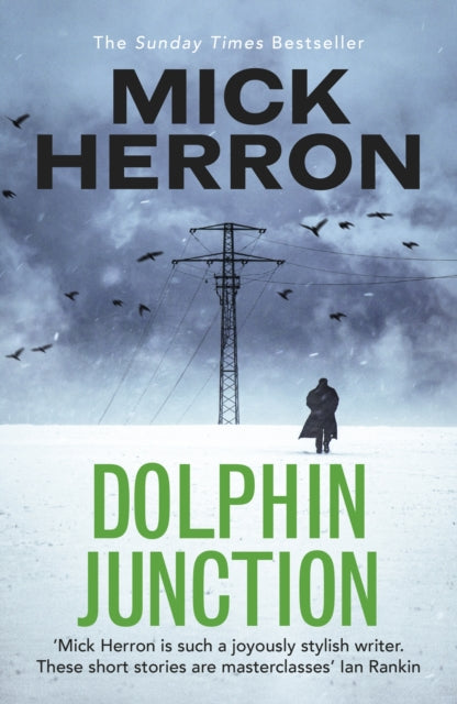 Dolphin Junction by Mick Herron - Paperback book