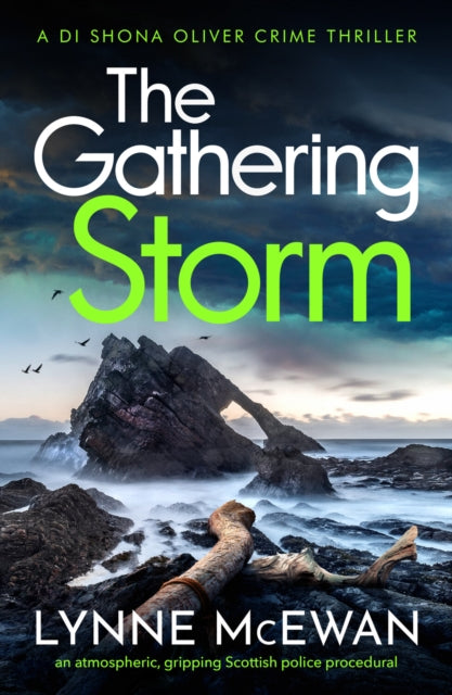 The Gathering Storm by Lynne McEwan - Paperback
