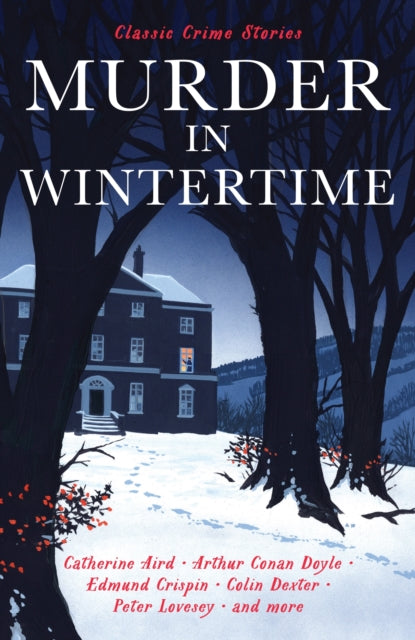 Murder in Wintertime by Cecily Gayford - Paperback book