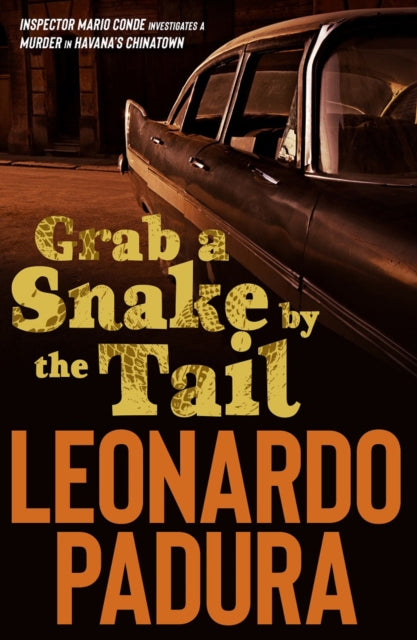 Grab a Snake by the Tail by Leonardo Padura - Paperback book