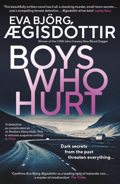 Boys Who Hurt by Eva Bjorg Aegisdottir - Paperback book