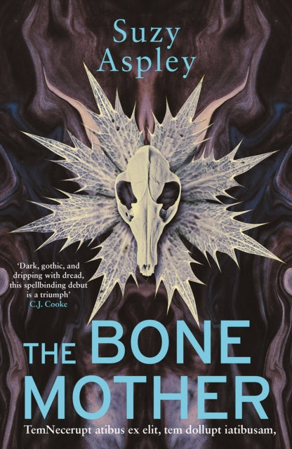 The Bone Mother by Suzy Aspley - Paperback book