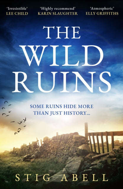 Book Cover of The Wild Ruins by Stig Abell (Hardcover)