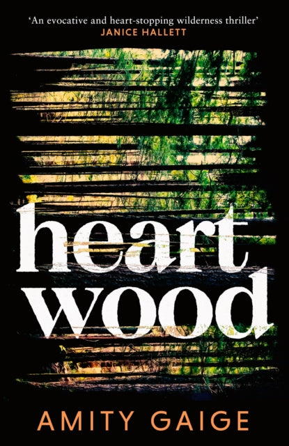 Book cover of 'Heartwood' by Amity Gaige with abstract design and text.