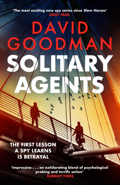 Book cover for 'Solitary Agents' by David Goodman.