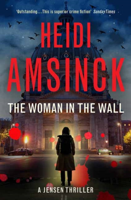 Book cover of The Woman in the Wall by Heidi Amsinck (Paperback)