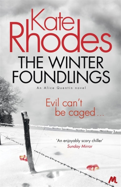 Book Cover of The Winter Foundlings by Kate Rhodes (Paperback)