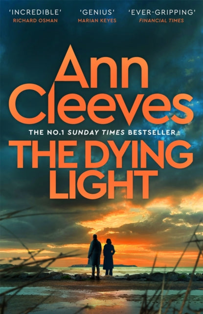 Book cover of 'The Dying Light' by Ann Cleeves with a sunset scene and silhouette of two people on a beach.