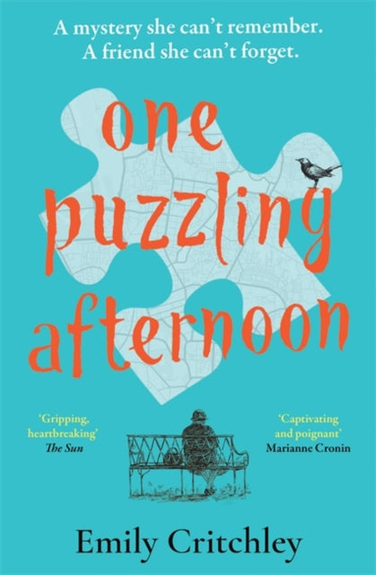 One Puzzling Afternoon by Emily Critchley - Paperback