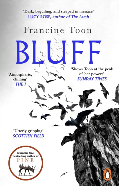 book cover of Bluff by Fancine Toon (Paperback)