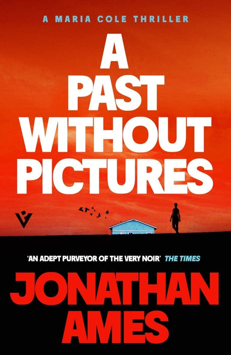 Book Cover of A Past Without Pictures by Jonathan Ames (Paperback)