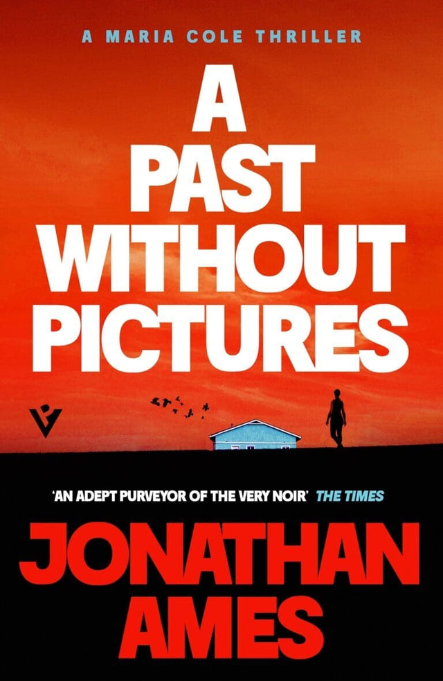 Book Cover of A Past Without Pictures by Jonathan Ames (Paperback)