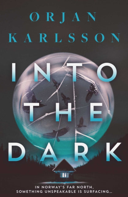 Into the Dark by Orjan Karlsson - Paperback book